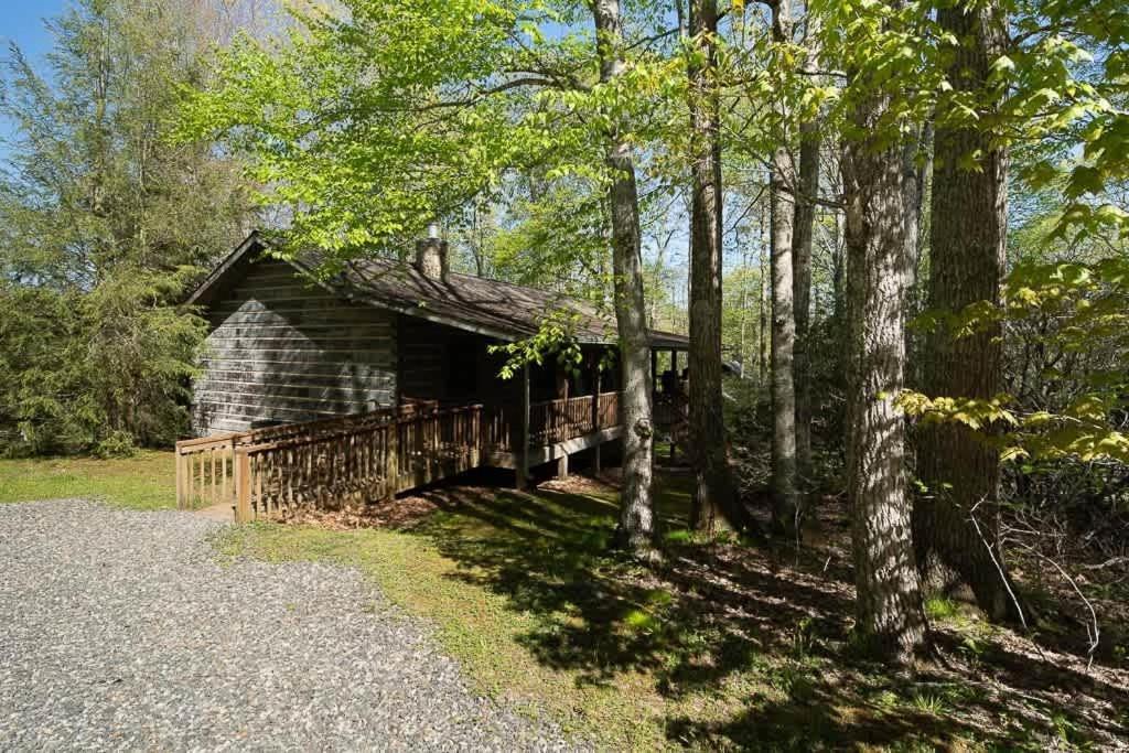 Cozy 'Grey Fox' Cabin Between Boone & Блоуинг-Рок Экстерьер фото